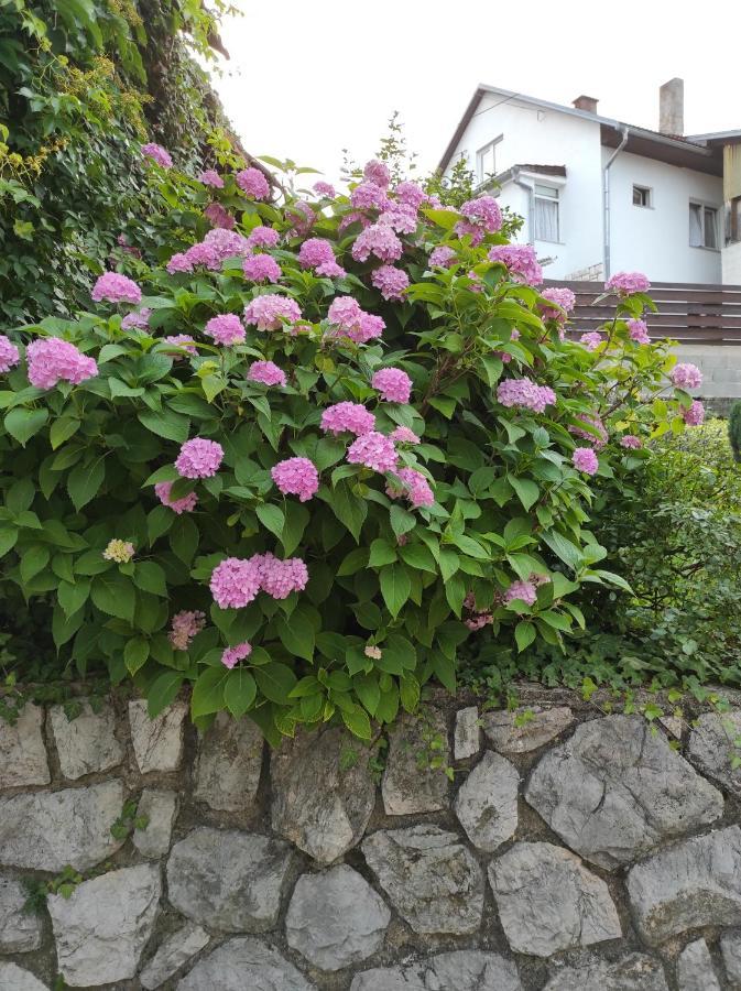 Apartman Domi Slunj Bagian luar foto